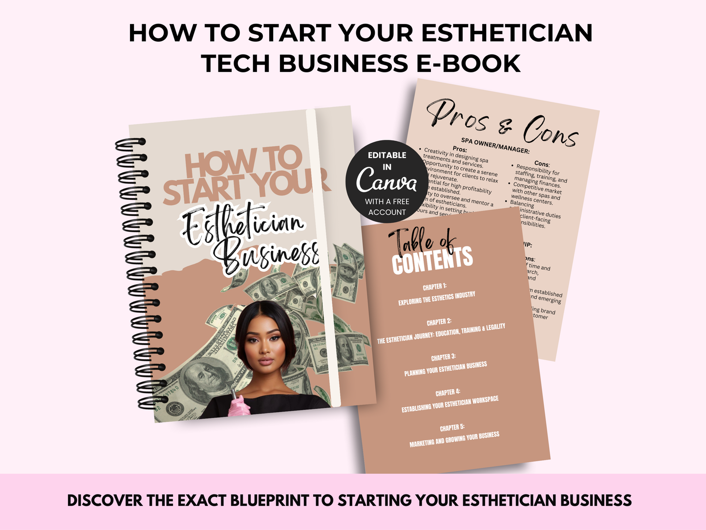How To Start Your Esthetician Business PLR E-Book